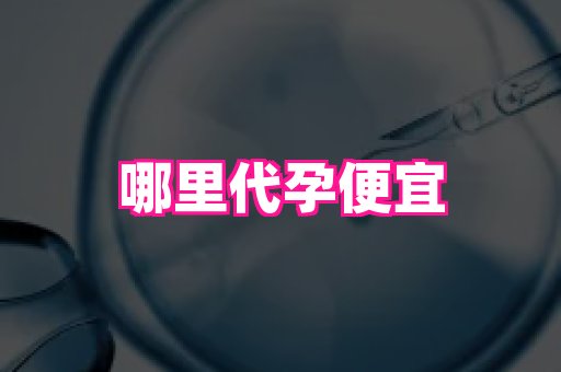 南京助孕网 4